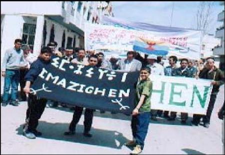 vive tamezgha